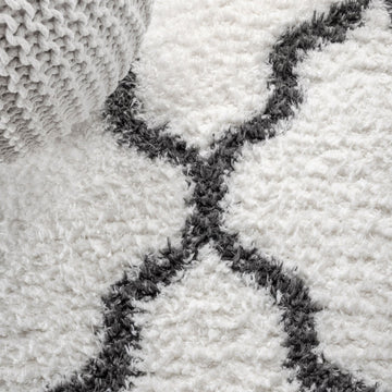 Marrakesh Shag Trellis Area Rug